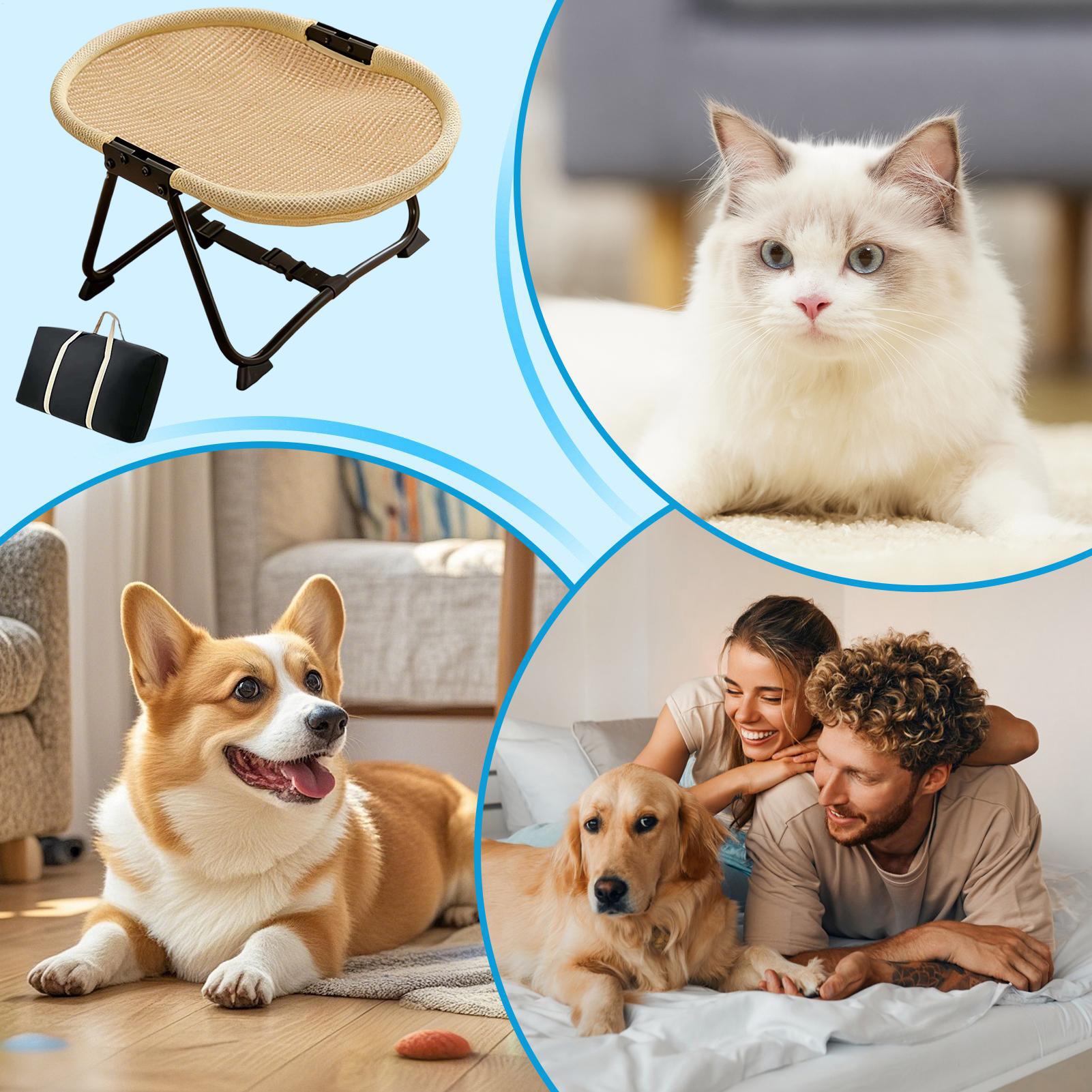 Dog Cot Bed Foldable Soft Hamm - Camping Cot Foldable review and price