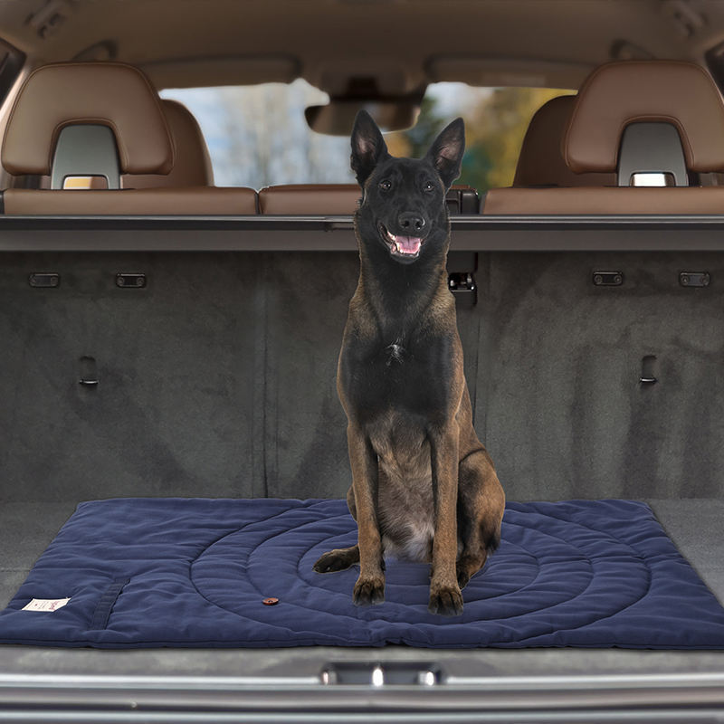 Portable Pet Mat Foldable Pet  - Camping Cot Foldable review and price