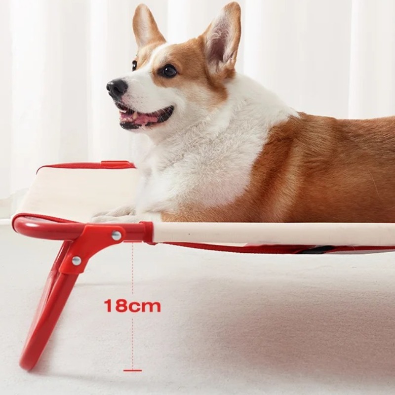 Foldable Dog Bed for Medium Do - Camping Cot Foldable review and price